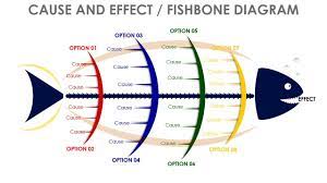 Check spelling or type a new query. Fishbone Diagram Slide In Powerpoint Youtube