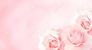 1280 x 1280 png 539 кб. Romantic Blurred Background With Three Roses Of Pink Color Copy Space For Your Text Mock Up Template Can Be Used For Wallpaper Wedding Card Web Page Banner Stock Photo Picture And Royalty