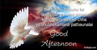 Birthday Wishes For Father From Daughter In Nepali Good Afternoon Sms In Nepali Language Nepali Sms Messages Shayari Quotes Good Morning Nature Friends Quotes Good Afternoon