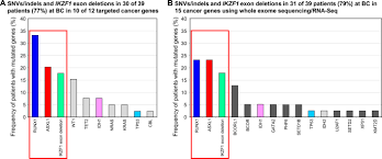Yo maps mary you x d : Laying The Foundation For Genomically Based Risk Assessment In Chronic Myeloid Leukemia Leukemia