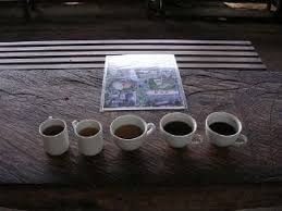 Don't ever request for free coffee samples with the intention of reselling them for quick cash. How To Choose A Coffee Supplier A Quick Guide Casa Espresso