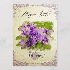 Birthday Flowers On March 1st Cornflower Birthday Flowers Flowers Cornflower