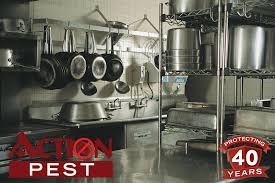 We are looking at get a pest control and termite prevention services. Sourcing Pest Control For Your Restaurant Action Pest Control Services