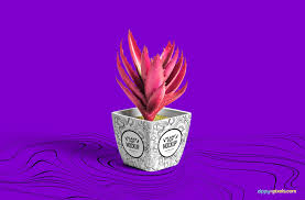Free Plant Pot Mockup Zippypixels Free Plants Photoshop Mockup Free Free Design Elements