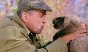 Helen Wainwright (@Jinxycatracing)