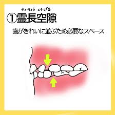 ブログ（詳細ページ）｜のうみ歯科・キッズデンタルクリニック｜新山口の家族で通える歯医者さん