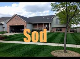 We did not find results for: New Sod Fertilizing And Treatment Schedule New Sod Care Youtube
