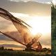 An Evening Beyond the Veil with Becky Hesseltine .... event in Carbondale, CO