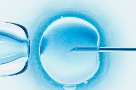 Check spelling or type a new query. In Vitro Fertilization Ivf Side Effects Cost And Risks Allure