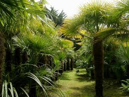 Jardin botanique de vauville, vauville: Les Plus Beaux Jardins De France Les Plus Beaux Jardins Nord De La France Routard Com