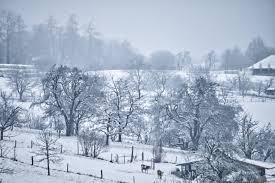 Make social videos in an instant: Wetter Winter 2019 2020 Aktuelle Wetterprognose Vom 29 11 2019 Wann Kommt Der Winter