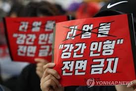 '물품(리얼돌)이 지나치게 정교하다'는 세관의 주장에 대해서는 특수한 상황이 아닌 이상 실제 사람과 혼동할 여지도 거의 없고 여성 모습을 한 전신 인형에 불과하다며 받아들이지 않았다. ì¸ì²œ ë¦¬ì–¼ëŒ ì²´í—˜ë°© 7ê³³ ëª¨ë' ë¶ˆë²•í–‰ìœ„ ì ë°œ 4ê³³ íì—… í•œê²½ë‹·ì»´