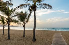 Las (greece), an ancient city in greece. Las Palmas De Gran Canaria Facettenreiche Und Lebhafte Inselhauptstadt