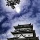 An Afternoon Visit to Japan with Charlie Siegel event image