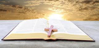 100% trabajando en 5 dispositivos, votado por 46, desarrollado por sand apps inc, paid for free. The Bible Encyclopedia On Windows Pc Download Free 1 1 1 Com Movinapp Dict Bible Pro
