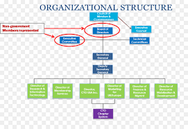Organization Text