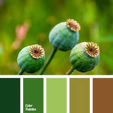 What color does brown and green make. Swamp Green Color Palette Ideas