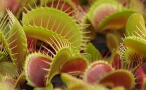 Multi se asteapta ca toate interviurile sa cifre cu riscuri, cu probabilitati, aduna, impart… fiecare cu modelul si cu algoritmul lui de analiza si de abordare. Intrebari Interviu Ce Sa Intrebi Candidatii La Interviu