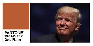 Which Pantone Color Is Donald Trump?