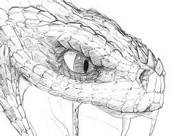 Learn how to draw snake pictures using these outlines or print just for coloring. Side View Snake Mouth Open Drawing Snake Drawing