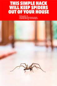 This Simple Hack Will Keep Spiders Out Of Your House Get Rid Of Spiders Simple Tricks How To Get Rid