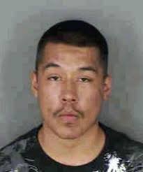 Gang member picks fight with Collier sheriff's gang unit at county fair,  deputies say