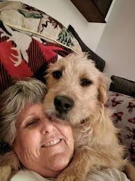 Stanley 25 lb, 2 year old terrier mix dental care