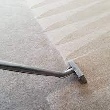 Why Should You Hire a Carpet Cleaning Company? - TAGG-Toorak Times