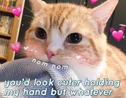 Instagram Post By You Re Too Cute Jun 8 2019 At 12 44am Utc Cute Love Memes Funny Couples Memes Cute Memes