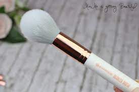Bronzer Brush Essence Review Bronzer Brush Bronzer Brush