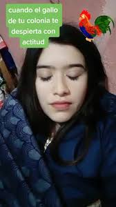 El Gallo En La Mañana