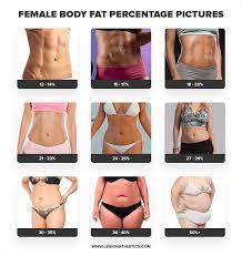 How To Calculate Your Body Fat Percentage Easily Accurately With A Calculator Laptrinhx News