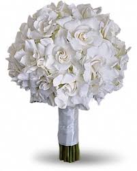 Resources for texans in need. Gardenia And Grace Bouquet In San Antonio Tx Robert S Flower Shop