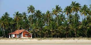 Terminix is a better business bureau accredited business and earned the women's choice award as america's most recommended pest control service in. Able Termite Pest Control Inc Home Facebook