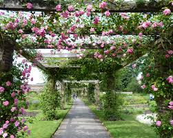 What Is The Difference Between A Pergola Pergoda And Pagoda Iq Outdoor Living In 2020 Kew Gardens Traditional Garden Design Kew Gardens London