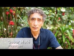 Dr Gabor Mate Ayahuasca Healing At The Temple Of The Way Of Light Youtube Gabor Mate Ayahuasca Wild Women Sisterhood