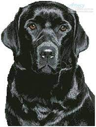 The chart is in black and white using symbols to differentiate the. Black Labrador Cross Stitch Pattern By Tereena Clarke Crosstitch Com Cross Stitch Patterns Stitch Patterns Cross Stitch
