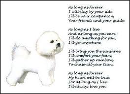 New Bichon Frise Print Forever Art Poem Ebay Bichon Bichon Frise Bichon Frise Dogs