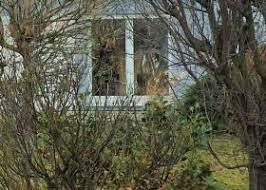 Überlegen sie vorab genau, wie die optimale lösung für sie aussehen könnte. Haus Kaufen Hauskauf In Maxdorf Immonet