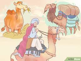 Here is everything you need to know about buying a car in the uk, from the perspective of a british/canadian travelling couple. How To Buy A Camel With Pictures Wikihow