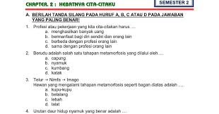 Melalui ulangan harian guru dapat mengevaluasi siswa berdasarkan tingkat memapuan peserta didik. Download Soal Tematik Kelas 4 Semester 2 Tema 6 Subtema 2 Cita Citaku Hebatnya Cita Citaku Edisi Terbaru Download Kumpulan Soal