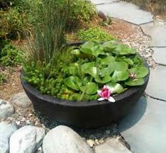 Jardins Aquatiques 101 Idees De Bassins Et De Fontaines Exterieurs Bassin Aquatique Jardin Aquatique Petit Bassin
