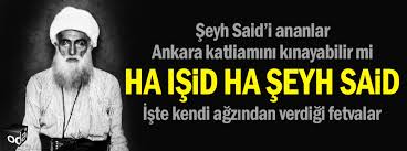 Temel eğitimini amcası şeyh hasan'ın medresesinde tamamladıktan sonra palu, muş, malazgirt ve hınıs'ta çeşitli medreselerde fıkıh, hadis, tefsir, beyan vb. Ha Isid Ha Seyh Said