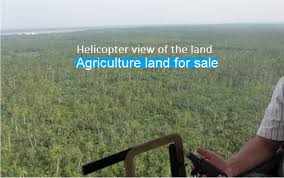 The options in our database are limitless. Indonesia Land Plantation Land For Sale Penang Properties Com
