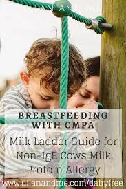 Most infant formula milk is made from cows' milk. Milk Ladder Guide Breastfeeding With Cmpa Lauren Ashley Gordon