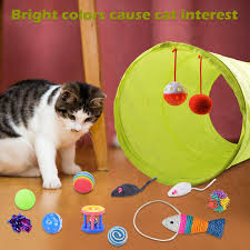 Gambar terkait dengan gambar ayam dan kucing. 21 Pcs Kucing Mainan Dengan 1 Cara Terowongan Bola Tikus Ikan Ular Interaktif Bulu Teaser Kucing Interaktif Mainan Set Untuk Catnip Isi Ulang Kucing Mainan Kucing Aliexpress