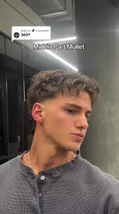 Mullet Mit Langem Mittelscheitel