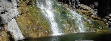 Salmon Creek