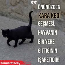 Altinda Cok Baska Seyler Aramaya Gerek Yok Kedi Kara Kedi Isaretler