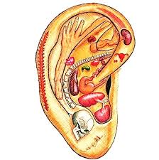 We did not find results for: Daith Piercing Battlefield Acupuncture Seminars Battlefield Acupuncture Advanced Battlefield Acupuncture Battlefield Acupuncture Seminars Acupuncture Auricular Therapy Auriculothrapy Ear Acupuncture
